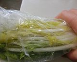 ✿白菜の漬物✿ポリ袋で本格漬け作り方5写真