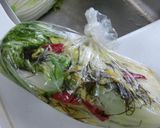 ✿白菜の漬物✿ポリ袋で本格漬け作り方7写真