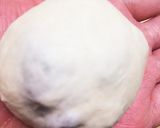 パルスィートを使って白パン作り方7写真
