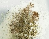手羽先甘辛揚げ！世界の山ちゃん風作り方1写真