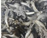 ヘルシーハンバーガー（５人分）作り方1写真