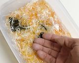 お正月【紅白なます】柚子風味作り方12写真