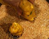 かぼちゃとチーズの焼きコロッケ作り方4写真