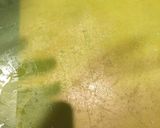 うまみぎっしり　鯛の昆布じめ作り方3写真