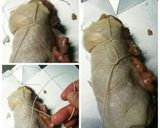 長芋まるごとチキンロール2016作り方5写真