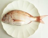 真鯛のカルパッチョ作り方1写真