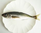 あじの捌き方　三枚おろし作り方1写真