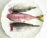 あじの捌き方　三枚おろし作り方6写真