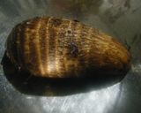 ヘルシー！簡単！里芋の大豆そぼろあんかけ作り方1写真
