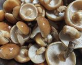 天然開きナメコの開運・年越し蕎麦作り方1写真