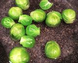 芽キャベツと蓮根のおひたし作り方4写真