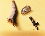 いりこ出汁の取り方作り方1写真