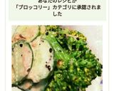 簡単！ブロッコリーときゅうりのツナサラダ作り方9写真