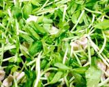 豚コマと豆苗のゴマだれ炒め作り方1写真