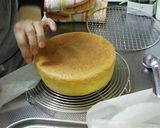 スポンジケーキ (攻略解説)作り方12写真
