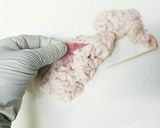 濃厚絶品たら白子、じゃがいも団子汁作り方3写真