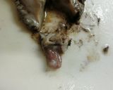 磯の香♪あわびのお刺身作り方14写真