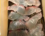 うまみぎっしり　鯛の昆布じめ作り方6写真