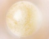 ほうじ茶ゼリーとチーズクリームパフェ作り方5写真