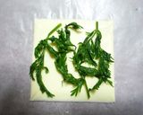 ☣葉っぱのチーズ煎餅☣作り方3写真