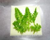 ☣葉っぱのチーズ煎餅☣作り方1写真