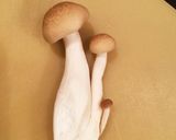 かりジュワ！簡単鮭とキノコのバター醤油☆作り方2写真