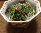 水菜 大量消費 漬け物作り方3写真