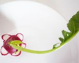 ラディッシュの飾り切り作り方4写真