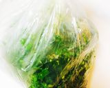ビニール袋ひとつ☆春を感じる菜の花浅漬け作り方4写真