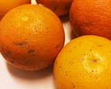 完熟すだちジャム作り方1写真