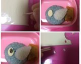 キャラ弁⋆アシマリ⋆ポケモンサン&ムーン作り方3写真