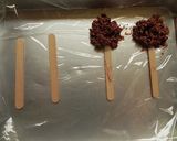 材料2つで簡単★チョコグラノーラ作り方2写真