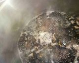 圧力鍋で5分!簡単黒豆♪作り方3写真