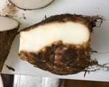 丁寧な解説付き筑前煮作り方8写真