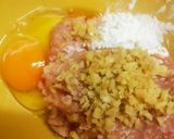体ホカホカ!鶏ひき肉と生姜DE鶏団子鍋♪作り方1写真