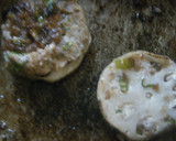 簡単美味しい❤いわしのれんこんつみれ焼き作り方5写真
