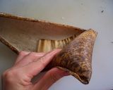 蓮の葉と竹皮でちまき作り方11写真