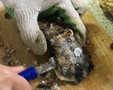 カキの殻のむき方☆作り方3写真
