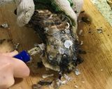 カキの殻のむき方☆作り方4写真