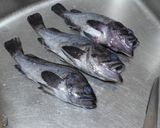 ソイの煮つけ 漁師町風作り方1写真