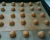 簡単ビニール袋で胡桃入りスノーボール作り方5写真