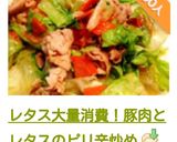 レタス大量消費！豚肉とレタスのピリ辛炒め作り方17写真