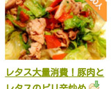 レタス大量消費！豚肉とレタスのピリ辛炒め作り方17写真