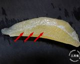 昆布の旨味たっぷり！あっさり数の子♪作り方5写真