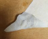 コロッケの三角春巻き作り方9写真