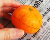 みかんの皮でフルーツバスケット作り方1写真