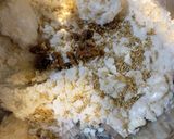 ココナッツとドライフルーツのクッキー作り方2写真