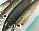 ご飯もお酒もすすむ！❤アジのなめろう作り方1写真