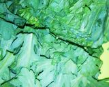 春菊大量消費＊春菊としめじの塩バター炒め作り方1写真