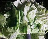 我が家の回鍋肉作り方8写真